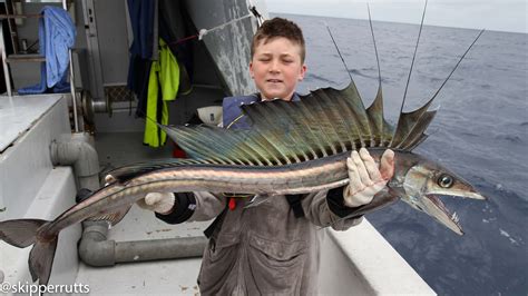 Longnose lancetfish | Deep sea creatures, Fish, Ocean creatures