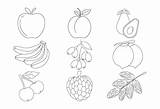 Fruit Coloring Book Pages Vector Art Icons And Graphics For Free Download sketch template