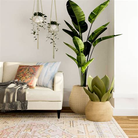 Artificial plants for home decor - Curiosa Living - Lifestyle Furnishings