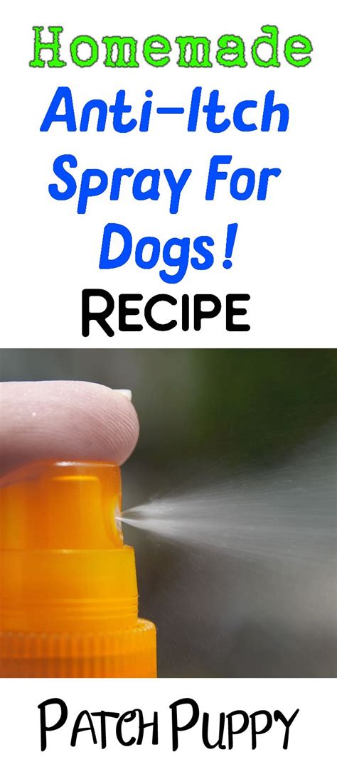 Homemade Dog Anti Itch Spray | Dog spray, Diy dog stuff, Dog anti itch ...