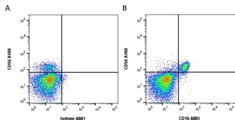 Anti Human CD16 Antibody, clone LNK16 | Bio-Rad