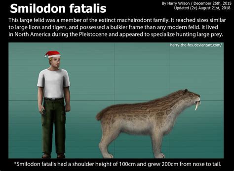 Smilodon Fatalis Size by Harry-the-Fox on DeviantArt