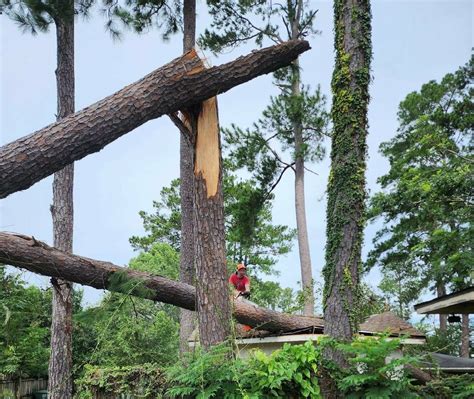 Georgia Baptist Disaster Relief volunteers finish hurricane cleanup ...