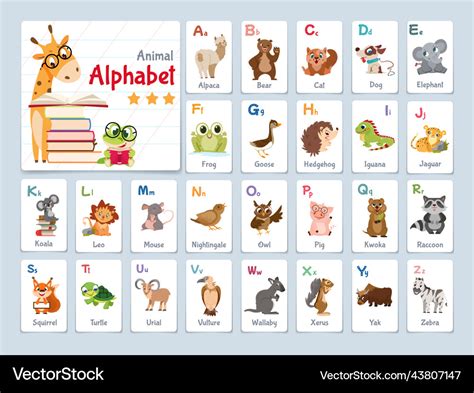 Alphabet flash cards with animals for learning Vector Image