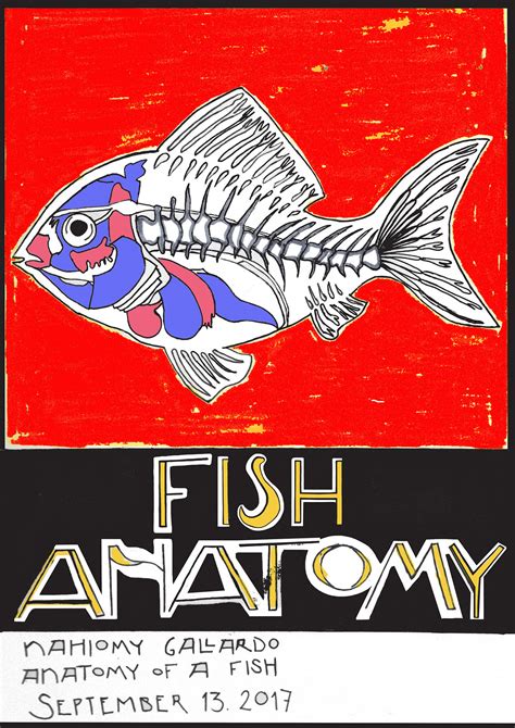 Fish Anatomy on Behance