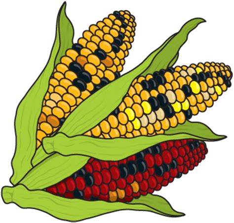 Download High Quality farm clipart corn Transparent PNG Images - Art ...