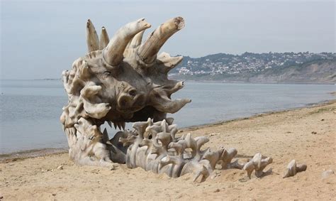 A.E.Talk: Giant Dragon Skull That Washed Up on British Beach