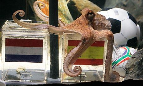 That's Exage: Paul the Octopus was right...