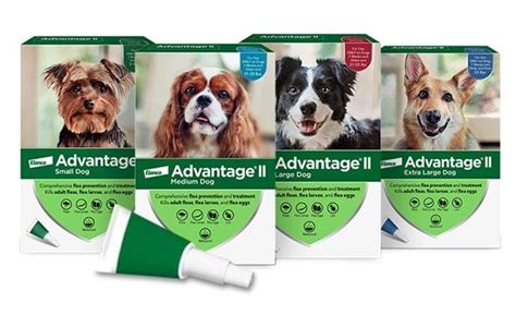 Advantage Spot-on Flea Treatment - For Cats, Dogs and Rabbits | Vets 2 Your Pets