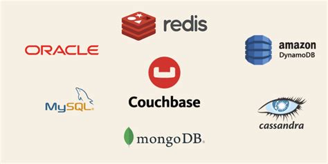 Database vs. Data Warehouse: Differences, Use Cases, Examples