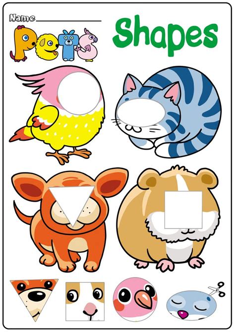 Pets Worksheet For Preschool