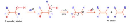 Dehydration Of Alcohols | Mechanism, Reactions & Summary