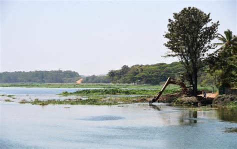 The Haunting Past of Bellandur Lake