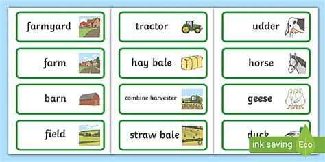 Farm Vocabulary Words For Preschool Children (teacher made)