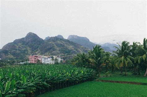 Nagercoil Travel Guide 2021: Best of Nagercoil Tourism | Tripoto