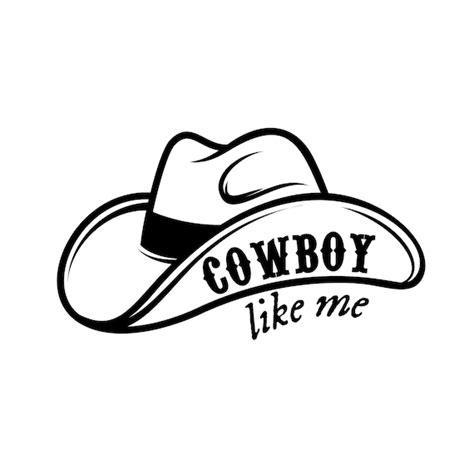 Taylor Swift Cowboy Hat