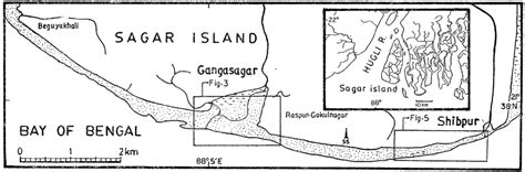 Fig. l : Southern coast of Sagar island showing approximate positions ...