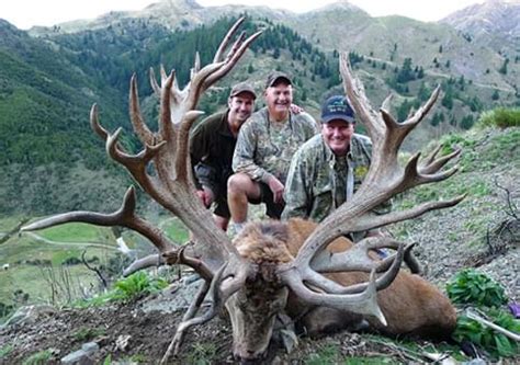 Photos and Video of World Record Trophy Red Stag and Elk at Spey Creek ...