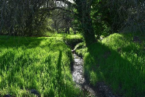 Taking advantage of the nice California weather : r/Outdoors