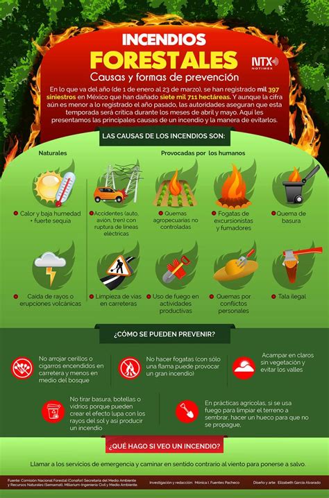 Educational infographic : Incendios forestales En lo que va del año se han registrado mil 397 ...