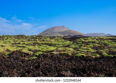 Canary Islands Volcanoes Road Between Volcanoes Stock Photo 1232948164 | Shutterstock