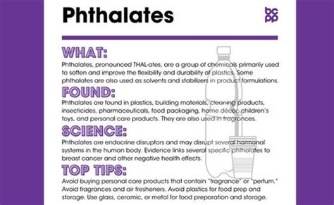 What Are Phthalates & Why You Should Avoid Them? – MyCocoSoul