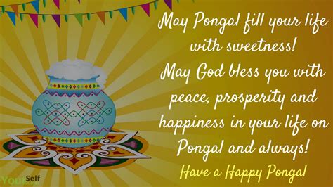 Happy Pongal Festival Wishes, Messages, Greetings, Quotes, Images