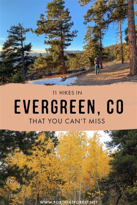 11 Amazing Hikes in Evergreen, CO You MUST Hike