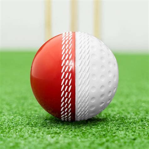 FORTRESS Reverse Swing Cricket Balls | Net World Sports