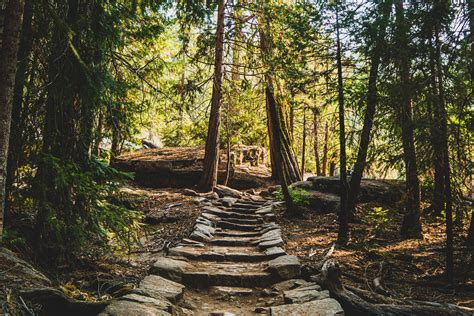 Trail design guidelines for children and families — Biophilic Cities