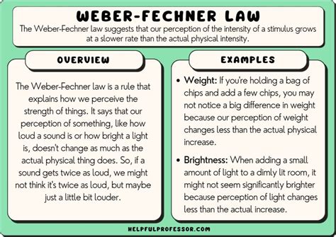 Weber’s Law in Psychology (Weber-Fechner Law) & Examples (2024)