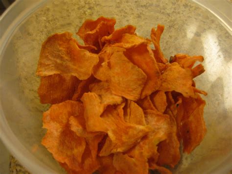 Nicholas Wied - Persistent Resilience: Recipe - Sweet Potato Chips (Dehydrator)