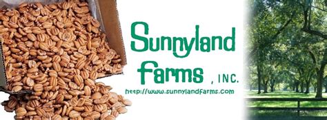 Sunnyland Farms - 10 Reviews - Candy Stores - 2314 Willson Rd, Albany, GA - Phone Number - Yelp