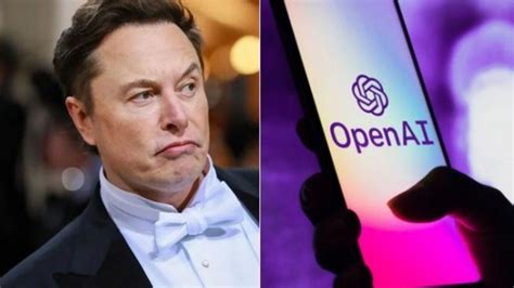 Elon Musk Says ‘OpenAI Has Access to Twitter Database for Training, I ...