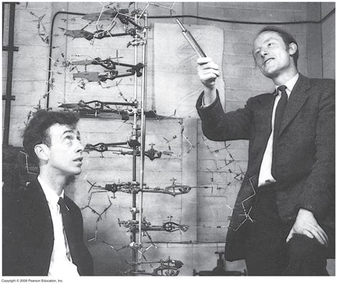 February 28th 1953: Watson and Crick discover DNA...