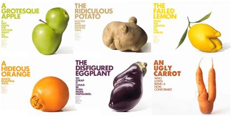 A Glorious Fight Against Food Waste: Supermarket Chain Celebrates “Ugly” Produce — With Stunning ...