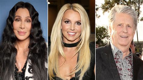 Cher follows Britney Spears, Brian Wilson in family conservatorship ...