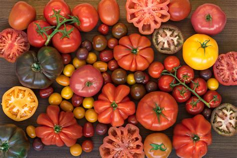 With so many varieties of tomatoes, which should you use in your next dish? Learn more about the ...