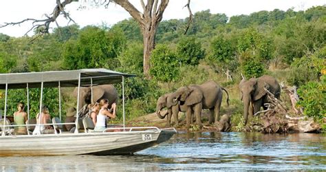 Chobe Safari Packages and Lodges in Botswana