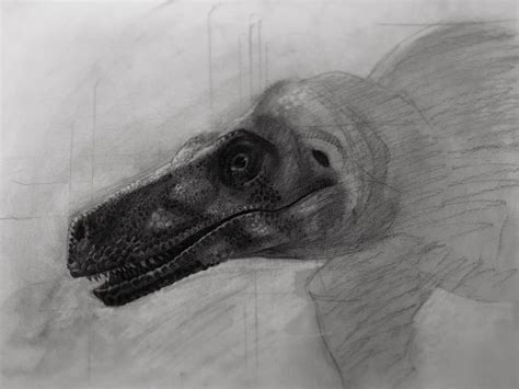 My Dino scientific illustration :), charcoal, 24x18" : r/drawing