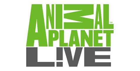 Animal Planet Live - English Anilmal & History Channels | Kothacinema