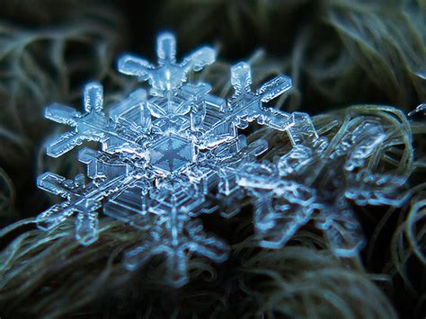 Amazing Close Up Photos Of Snowflakes Will Give You Goosebumps. – if it ...