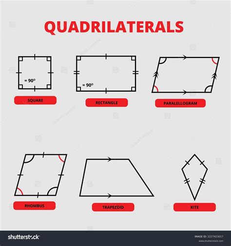 Quadrilateral Photos, Images & Pictures | Shutterstock