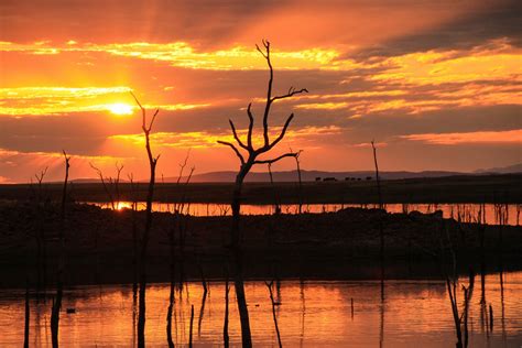 2019 Free Flights Special - Hwange, Lake Kariba, Mana Pools | My Guide Zimbabwe