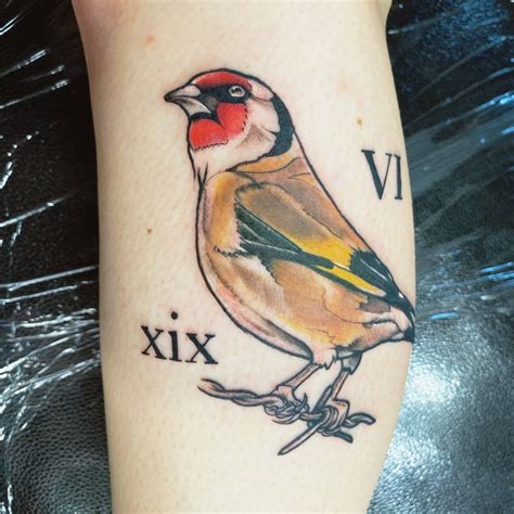 Pin on The Goldfinch