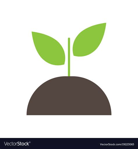 Plant sprout icon Royalty Free Vector Image - VectorStock