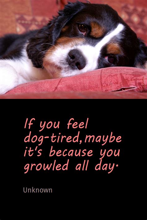 Daily Quotation for October 15, 2012 #quote #quoteoftheday If you feel dog-tired, maybe it's ...