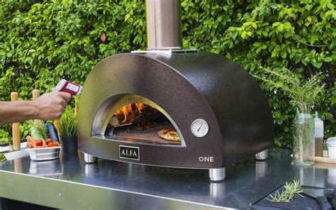 Alfa Pizza Oven Review in 2024