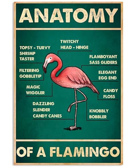 Flamingo Anatomy Poster – Daymira™ Wear For Everyday Pleasant