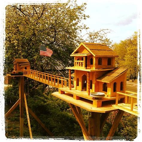 McMansion squirrel house in #WaHi | Backyard house, Cool bird houses ...